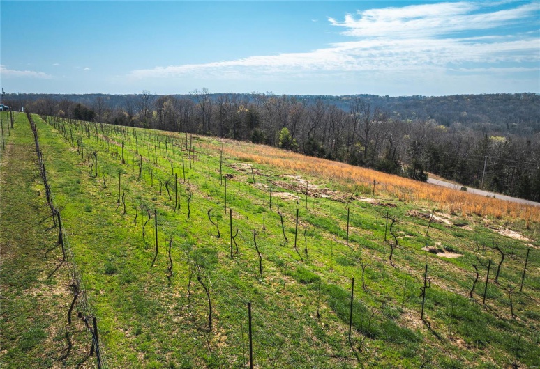 21124 Cave Road, Ste Genevieve, Missouri 63670, ,Commercial Sale,For Sale,Cave,MAR25023289