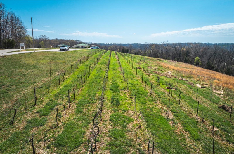 21124 Cave Road, Ste Genevieve, Missouri 63670, ,Commercial Sale,For Sale,Cave,MAR25023289