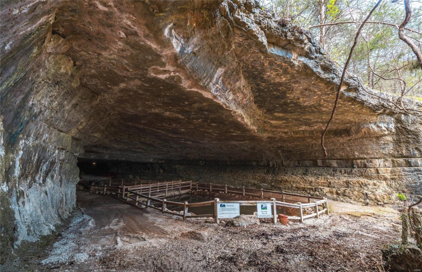 21124 Cave Road, Ste Genevieve, Missouri 63670, ,Commercial Sale,For Sale,Cave,MAR25023289