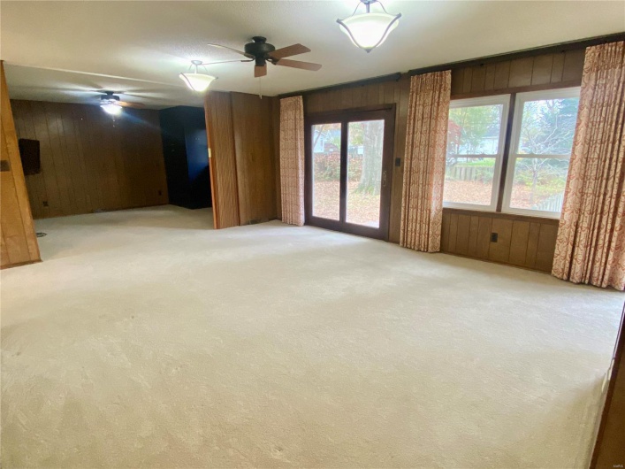 Spare room featuring wood walls, plenty of natural light, and light carpet