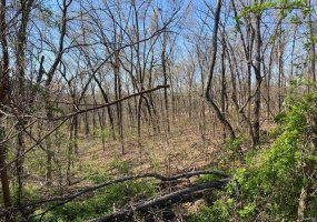 2094 Port Perry Drive, Perryville, Missouri 63775, ,Land,For Sale,Port Perry,MAR25023690