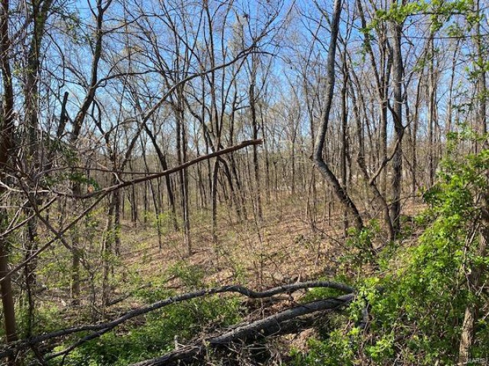 2094 Port Perry Drive, Perryville, Missouri 63775, ,Land,For Sale,Port Perry,MAR25023690