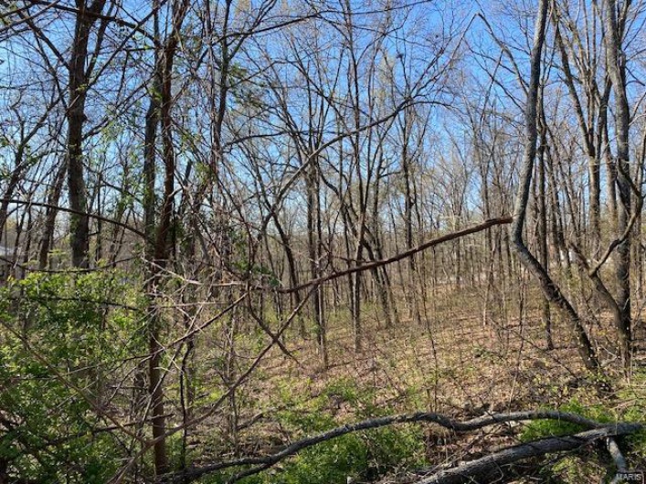 2094 Port Perry Drive, Perryville, Missouri 63775, ,Land,For Sale,Port Perry,MAR25023690