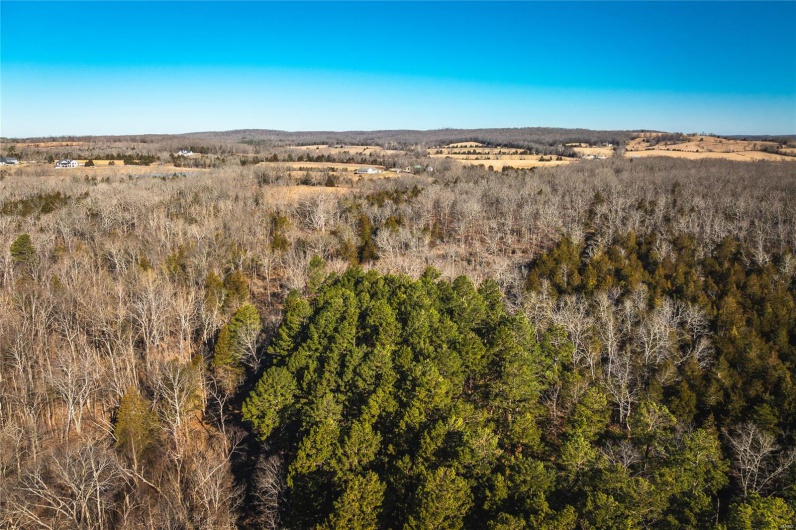 6580 Highway Dd - 2, Farmington, Missouri 63640, ,Farm,For Sale,Highway Dd - 2,MAR25023585