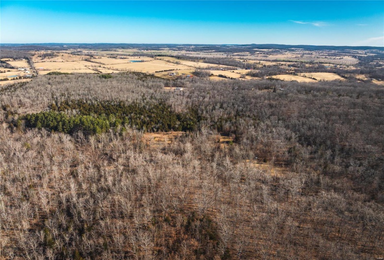 Drone / aerial view