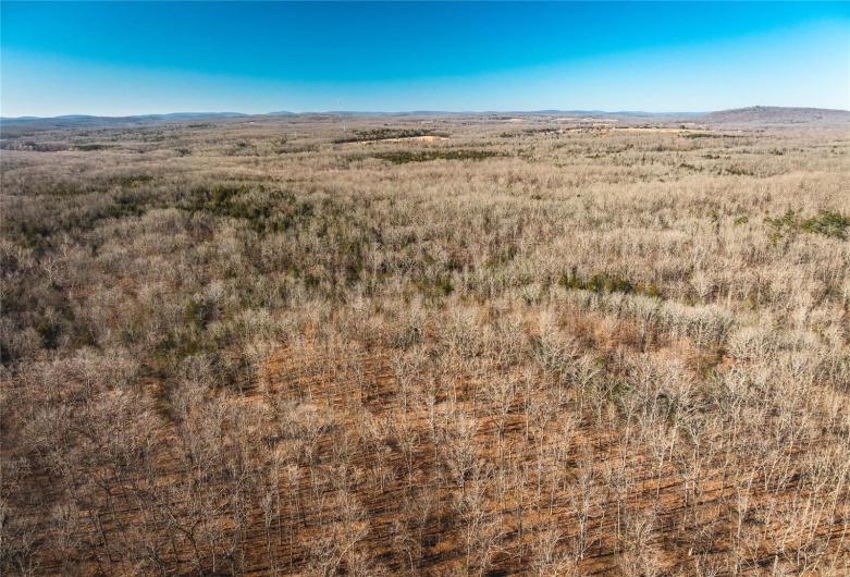 6580 Highway Dd - 2, Farmington, Missouri 63640, ,Farm,For Sale,Highway Dd - 2,MAR25023585