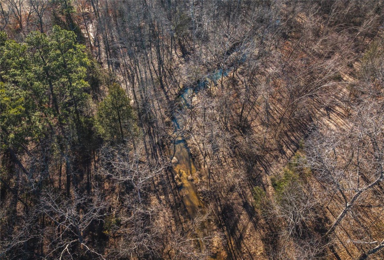Birds eye view of property with a forest view