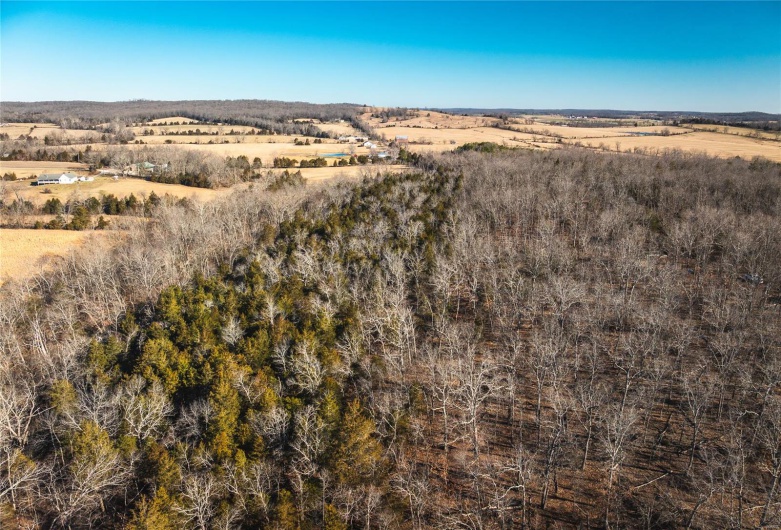 Aerial view with a rural view