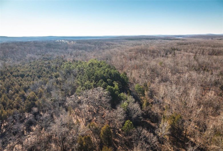 Bird's eye view with a forest view