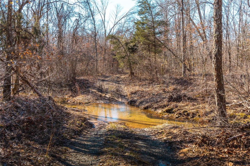 Property view of water featuring a forest view