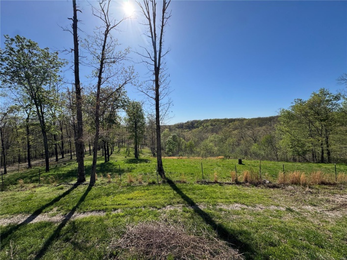View of yard featuring a forest view