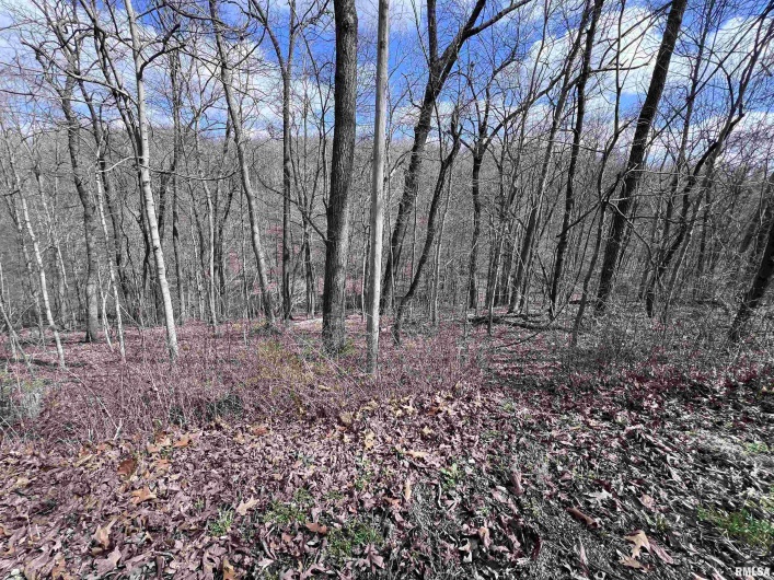 00 DEER RIDGE Road, Goreville, Illinois 62939, 0 , 0 ,0,Land,For Sale,DEER RIDGE,0,RMAEB457552