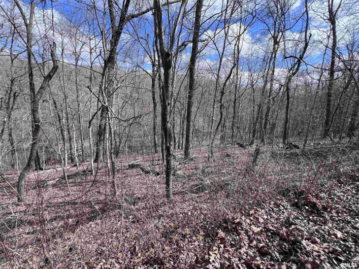 00 DEER RIDGE Road, Goreville, Illinois 62939, 0 , 0 ,0,Land,For Sale,DEER RIDGE,0,RMAEB457552