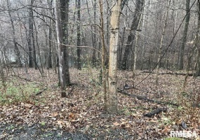 00 DEER RIDGE Road, Goreville, Illinois 62939, 0 , 0 ,0,Land,For Sale,DEER RIDGE,0,RMAEB457552