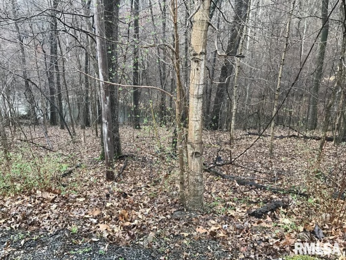 00 DEER RIDGE Road, Goreville, Illinois 62939, 0 , 0 ,0,Land,For Sale,DEER RIDGE,0,RMAEB457552