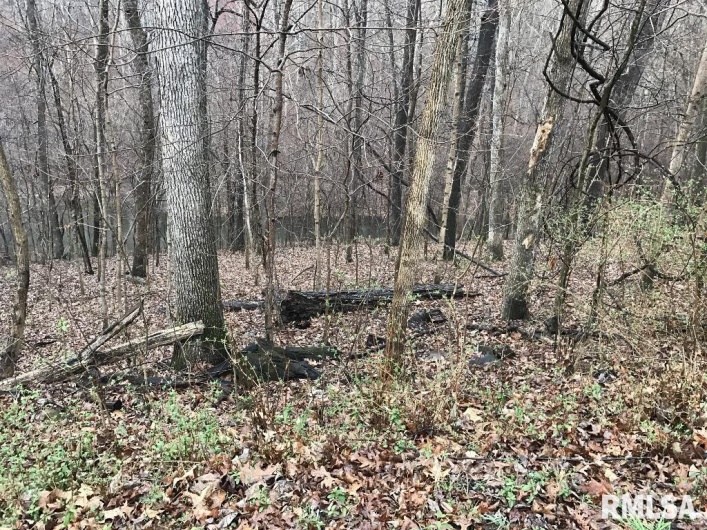 00 DEER RIDGE Road, Goreville, Illinois 62939, 0 , 0 ,0,Land,For Sale,DEER RIDGE,0,RMAEB457552