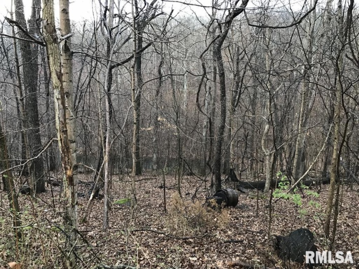 00 DEER RIDGE Road, Goreville, Illinois 62939, 0 , 0 ,0,Land,For Sale,DEER RIDGE,0,RMAEB457552