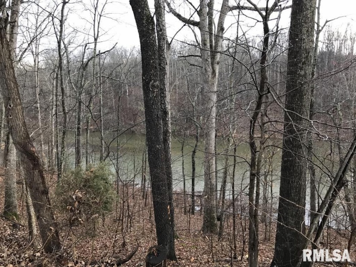 00 DEER RIDGE Road, Goreville, Illinois 62939, 0 , 0 ,0,Land,For Sale,DEER RIDGE,0,RMAEB457552