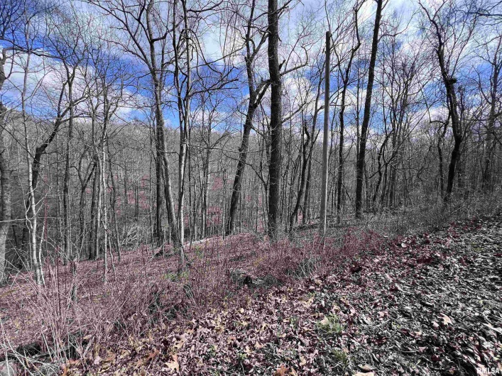 00 DEER RIDGE Road, Goreville, Illinois 62939, 0 , 0 ,0,Land,For Sale,DEER RIDGE,0,RMAEB457552