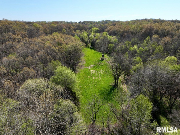 7454 MIDWAY Road, Metropolis, Illinois 62960, 3 Bedrooms Bedrooms, 0 ,2 BathroomsBathrooms,Land,For Sale,MIDWAY,0,RMACA1035784
