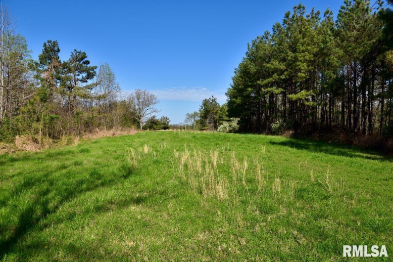 7454 MIDWAY Road, Metropolis, Illinois 62960, 3 Bedrooms Bedrooms, 0 ,2 BathroomsBathrooms,Land,For Sale,MIDWAY,0,RMACA1035784