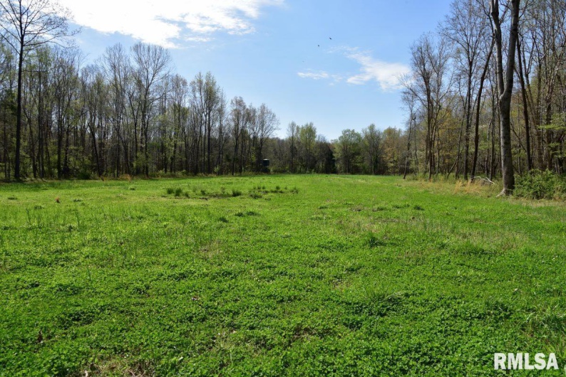 7454 MIDWAY Road, Metropolis, Illinois 62960, 3 Bedrooms Bedrooms, 0 ,2 BathroomsBathrooms,Land,For Sale,MIDWAY,0,RMACA1035784