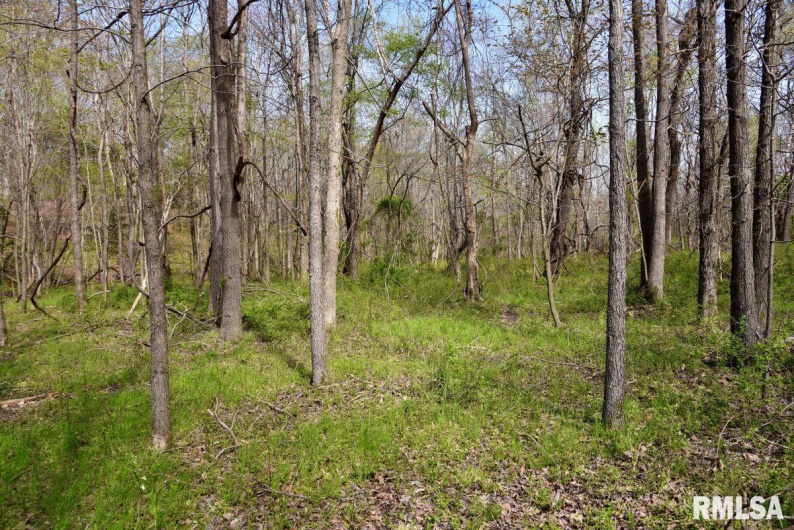 7454 MIDWAY Road, Metropolis, Illinois 62960, 3 Bedrooms Bedrooms, 0 ,2 BathroomsBathrooms,Land,For Sale,MIDWAY,0,RMACA1035784