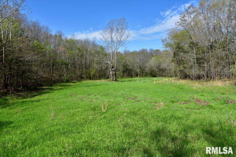 7454 MIDWAY Road, Metropolis, Illinois 62960, 3 Bedrooms Bedrooms, 0 ,2 BathroomsBathrooms,Land,For Sale,MIDWAY,0,RMACA1035784