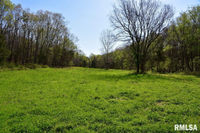 7454 MIDWAY Road, Metropolis, Illinois 62960, 3 Bedrooms Bedrooms, 0 ,2 BathroomsBathrooms,Land,For Sale,MIDWAY,0,RMACA1035784