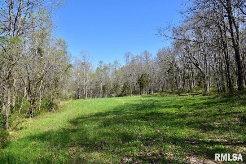 7454 MIDWAY Road, Metropolis, Illinois 62960, 3 Bedrooms Bedrooms, 0 ,2 BathroomsBathrooms,Land,For Sale,MIDWAY,0,RMACA1035784