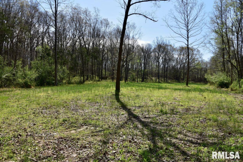7454 MIDWAY Road, Metropolis, Illinois 62960, 3 Bedrooms Bedrooms, 0 ,2 BathroomsBathrooms,Land,For Sale,MIDWAY,0,RMACA1035784