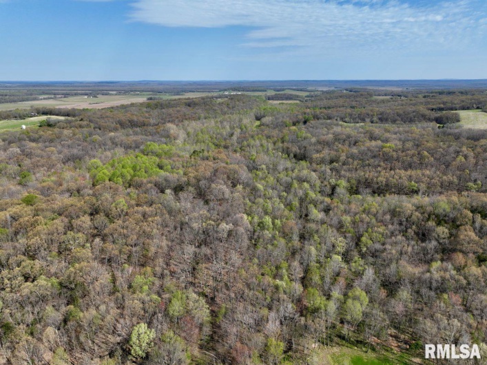 7454 MIDWAY Road, Metropolis, Illinois 62960, 3 Bedrooms Bedrooms, 0 ,2 BathroomsBathrooms,Land,For Sale,MIDWAY,0,RMACA1035784