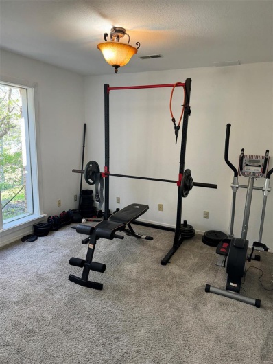 Workout room featuring a wealth of natural light, carpet flooring, visible vents, and a textured ceiling