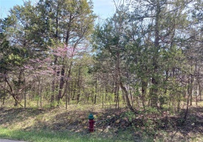 0 Lafitte Drive, Bonne Terre, Missouri 63628, ,Land,For Sale,Lafitte,MAR25024036