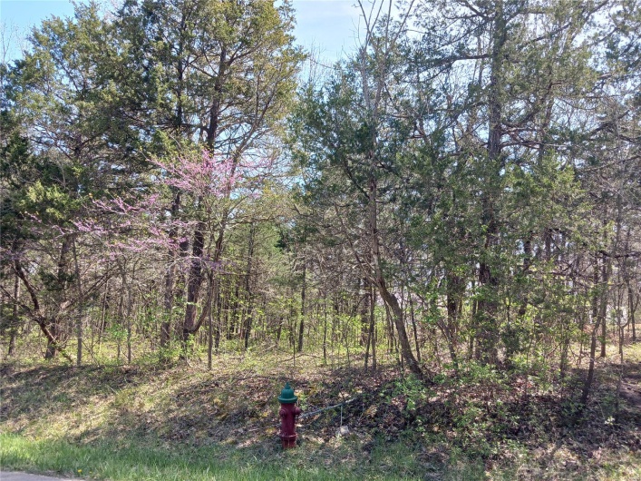 0 Lafitte Drive, Bonne Terre, Missouri 63628, ,Land,For Sale,Lafitte,MAR25024036