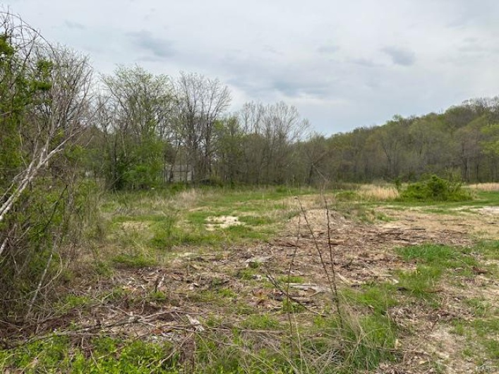 101 County Road 389, Whitewater, Missouri 63785, ,Farm,For Sale,County Road 389,MAR25024151