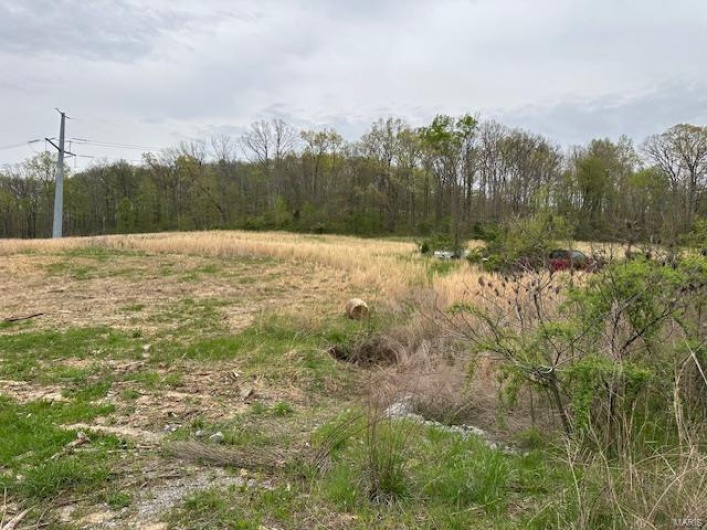 101 County Road 389, Whitewater, Missouri 63785, ,Farm,For Sale,County Road 389,MAR25024151