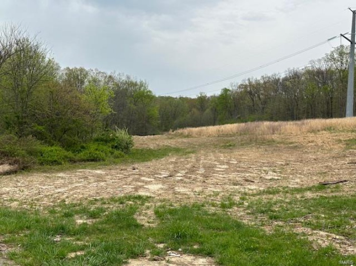 101 County Road 389, Whitewater, Missouri 63785, ,Farm,For Sale,County Road 389,MAR25024151