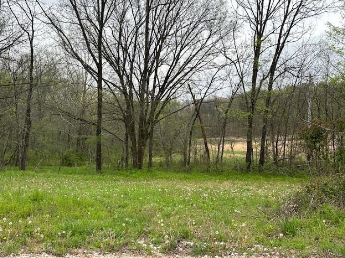 101 County Road 389, Whitewater, Missouri 63785, ,Farm,For Sale,County Road 389,MAR25024151