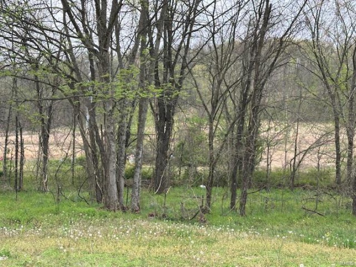 101 County Road 389, Whitewater, Missouri 63785, ,Farm,For Sale,County Road 389,MAR25024151