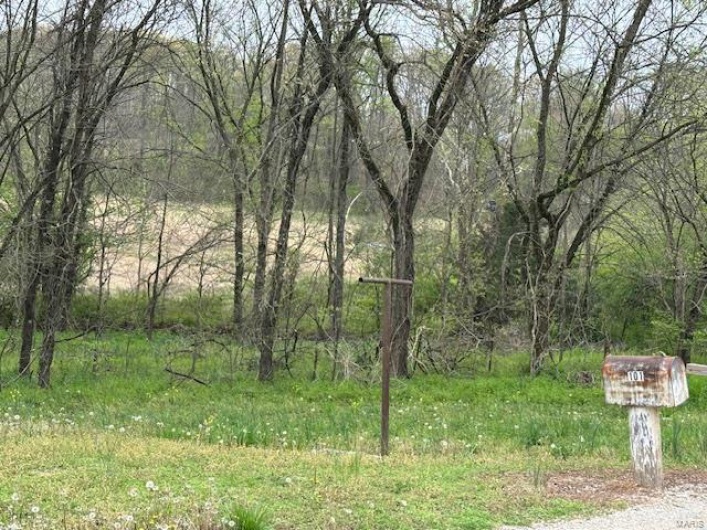 101 County Road 389, Whitewater, Missouri 63785, ,Farm,For Sale,County Road 389,MAR25024151
