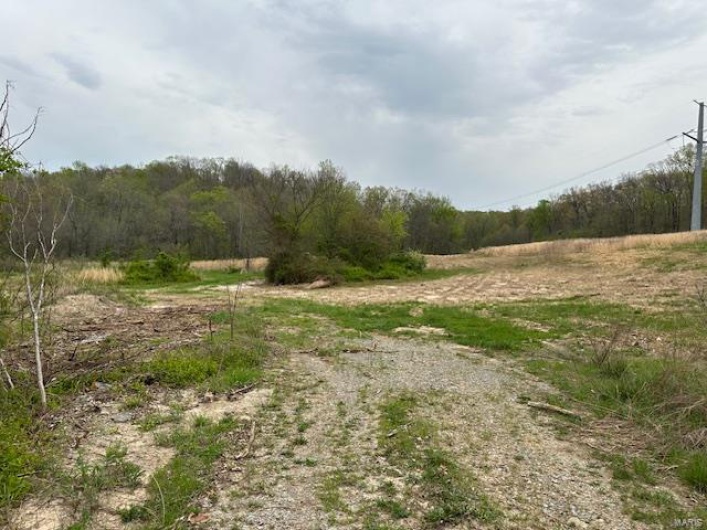 101 County Road 389, Whitewater, Missouri 63785, ,Farm,For Sale,County Road 389,MAR25024151