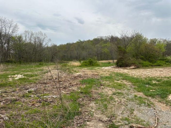 101 County Road 389, Whitewater, Missouri 63785, ,Farm,For Sale,County Road 389,MAR25024151