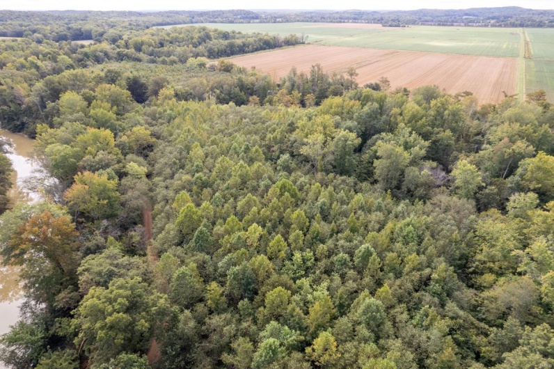 0 BCR 616, Zalma, Missouri 63737, ,Farm,For Sale,BCR 616,MAR25024235