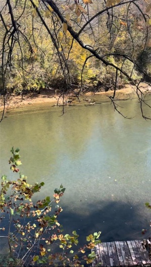 652 River Road, Williamsville, Missouri 63967, ,Land,For Sale,River,MAR25024123