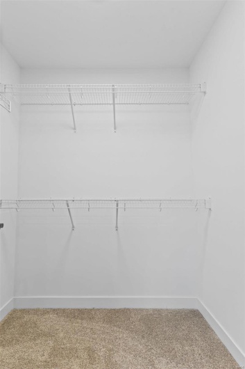 Walk in closet featuring carpet floors