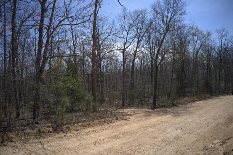 0 Hidden Vly Lks, Annapolis, Missouri 63620, ,Farm,For Sale,Hidden Vly Lks,MAR25023992