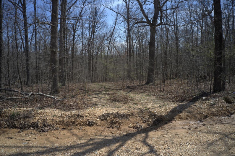 0 Hidden Vly Lks, Annapolis, Missouri 63620, ,Farm,For Sale,Hidden Vly Lks,MAR25023992