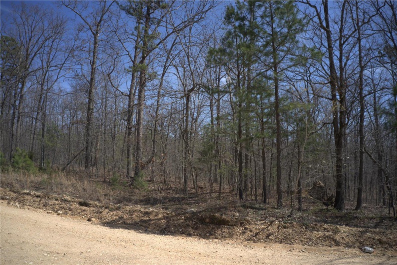 0 Hidden Vly Lks, Annapolis, Missouri 63620, ,Farm,For Sale,Hidden Vly Lks,MAR25023992