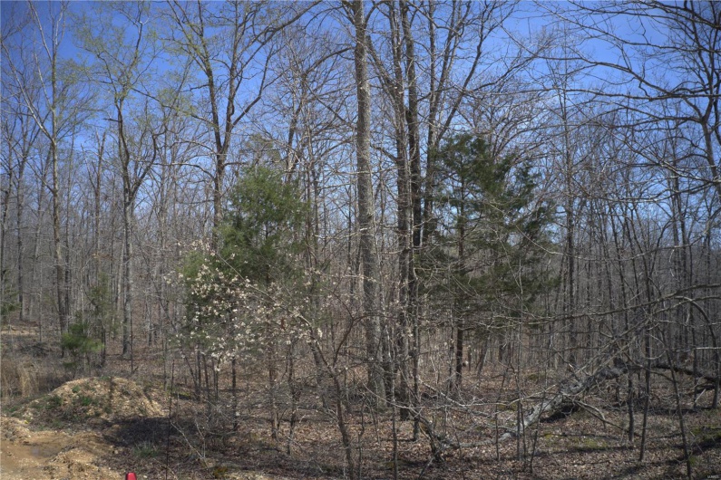 0 Hidden Vly Lks, Annapolis, Missouri 63620, ,Farm,For Sale,Hidden Vly Lks,MAR25023992